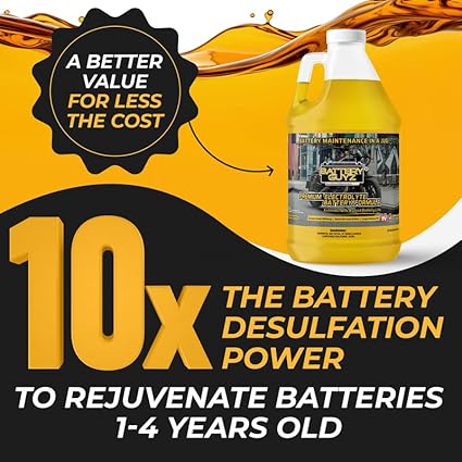 Desulfator to Extend and Renew Battery Life - Golf Cart Batteries, Motorcycles, Lawnmowers, Snowmobiles, Jet Skis - 48v/12v/8v/6v and All Lead Acid Batteries - 1/2 Gallon (1.90 L), As Seen On TV